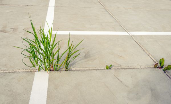 Concrete Parking Installation in Mishawaka